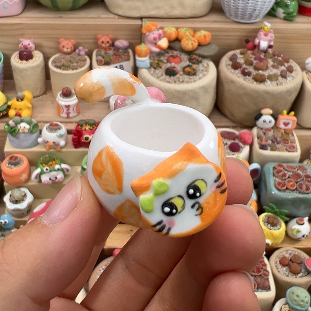 是***耶多肉植物27号种鸽子蛋