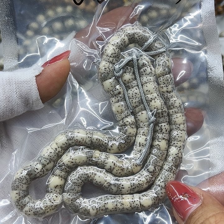 星月菩提吊坠08大肠*99a