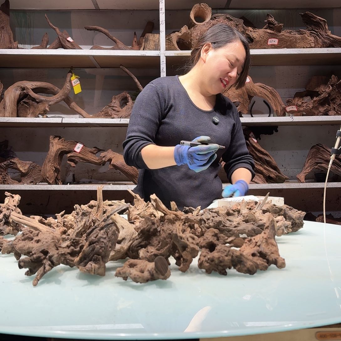 紫砂紫柚镂空不包损文****者3874玲珑木小货