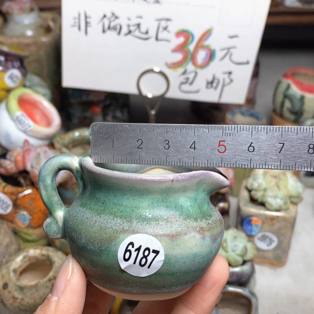 花盆拍2送一个小礼物