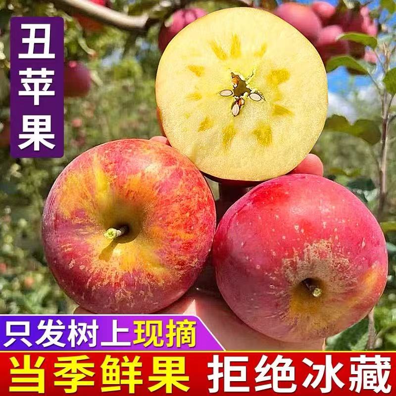 正宗云南现摘红苹果昭通冰糖心丑苹果新鲜应季脆甜水果产地直发