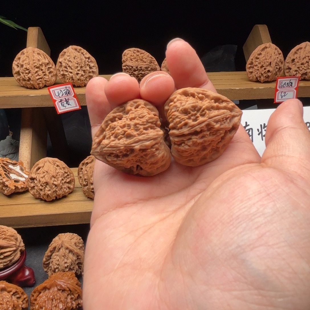 初***店核桃涿鹿南疆一代