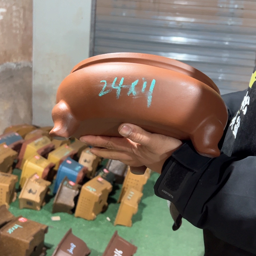 紫砂花盆紫砂花盆