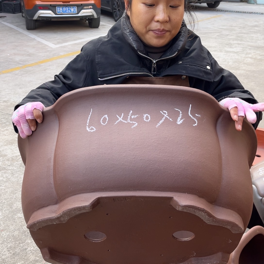 紫砂花盆盆景艺术