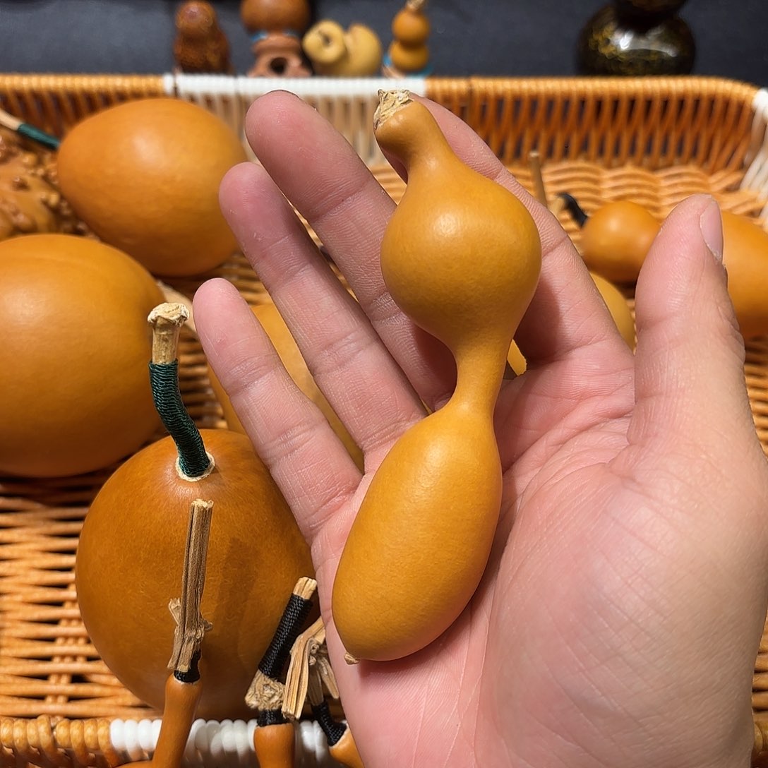 玥*.葫芦11111111111111111