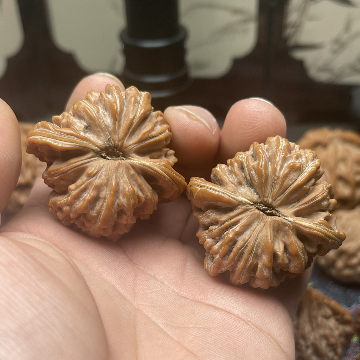 41全品无修四座楼