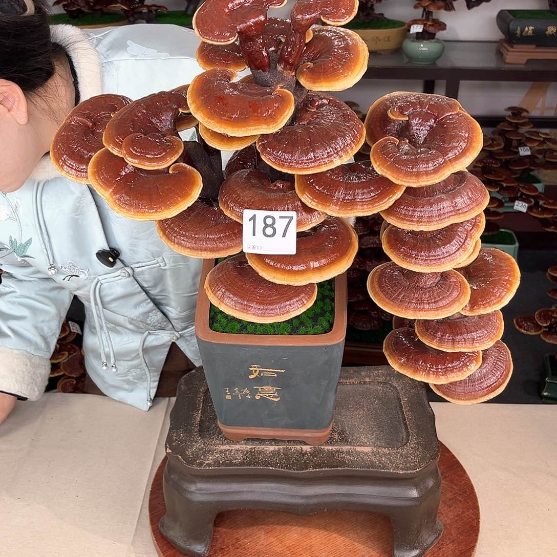 万事如意888888888187