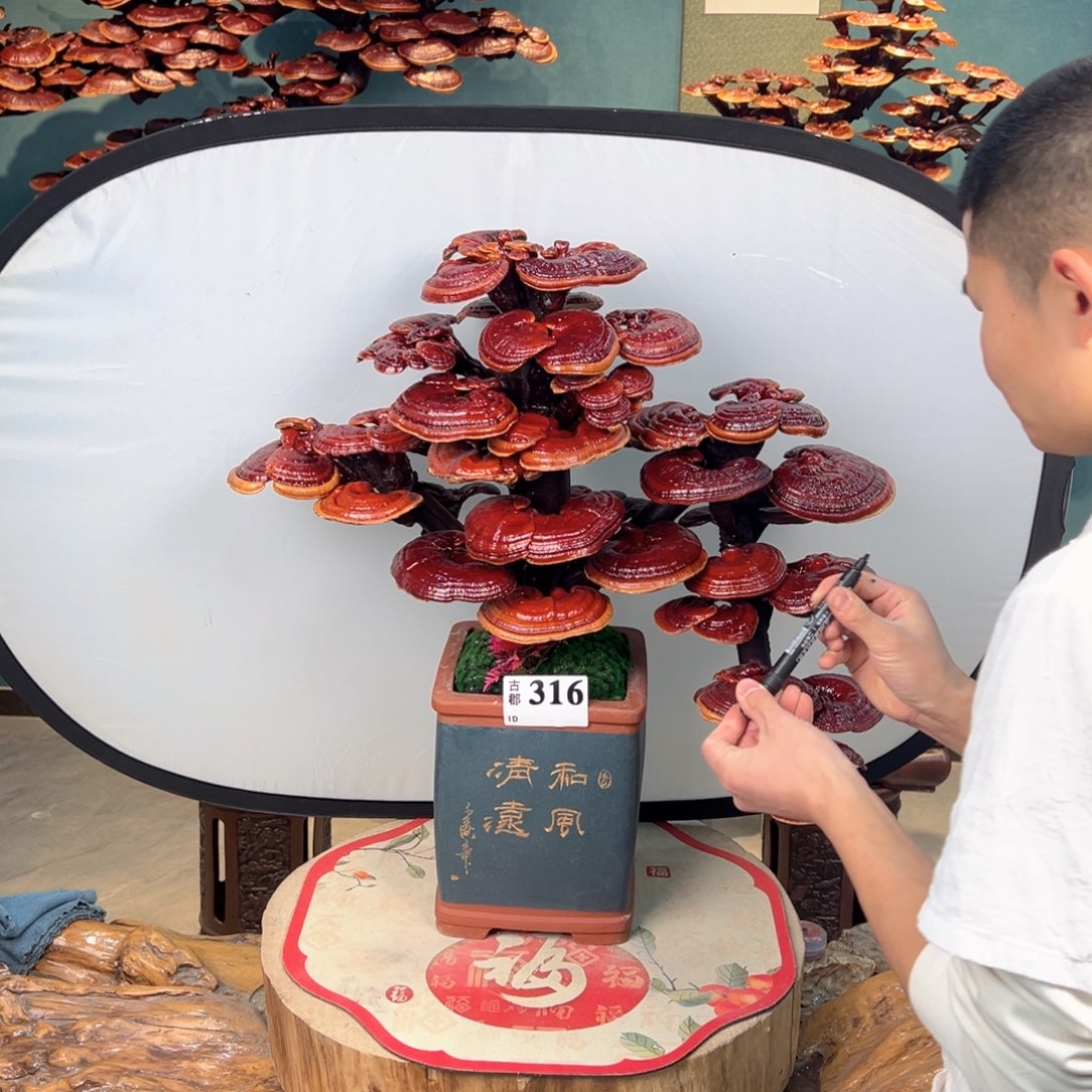 无花朵8686686868688