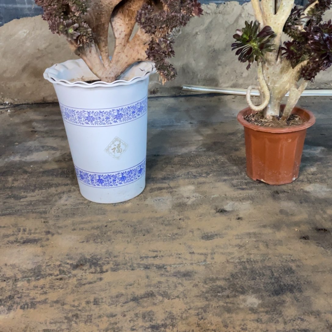 我是真的很喜欢这个