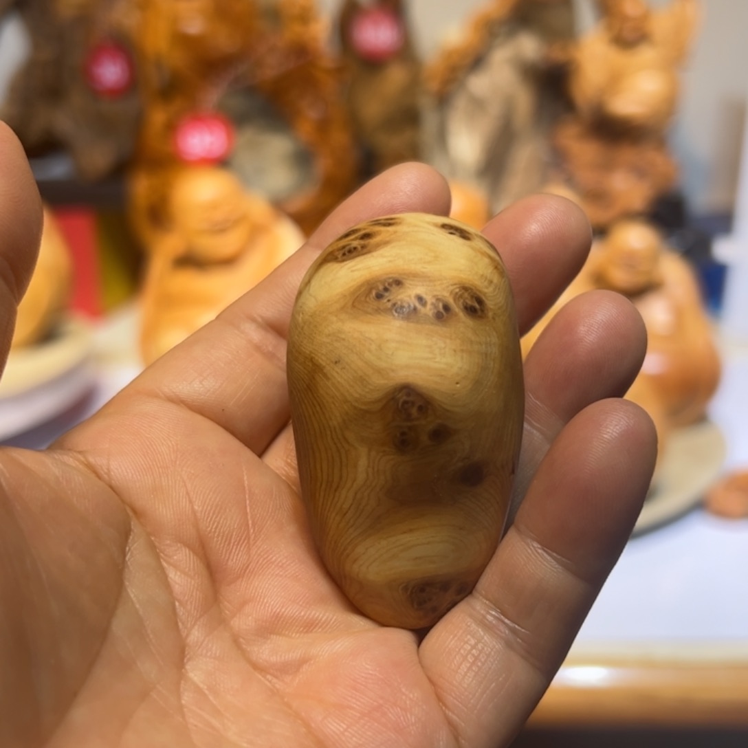 柏木（崖柏）我是一只小小鸟地域鬼