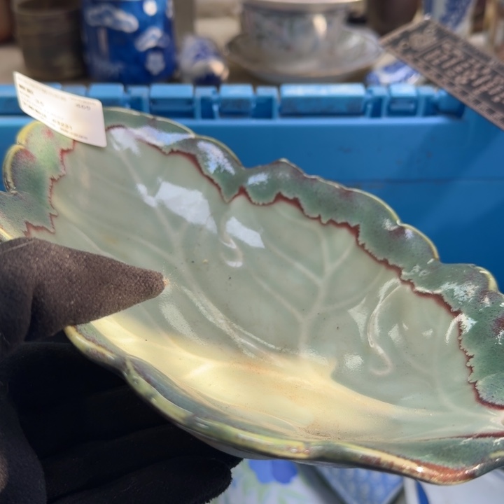 瓷片雾*开播啦…开播啦！