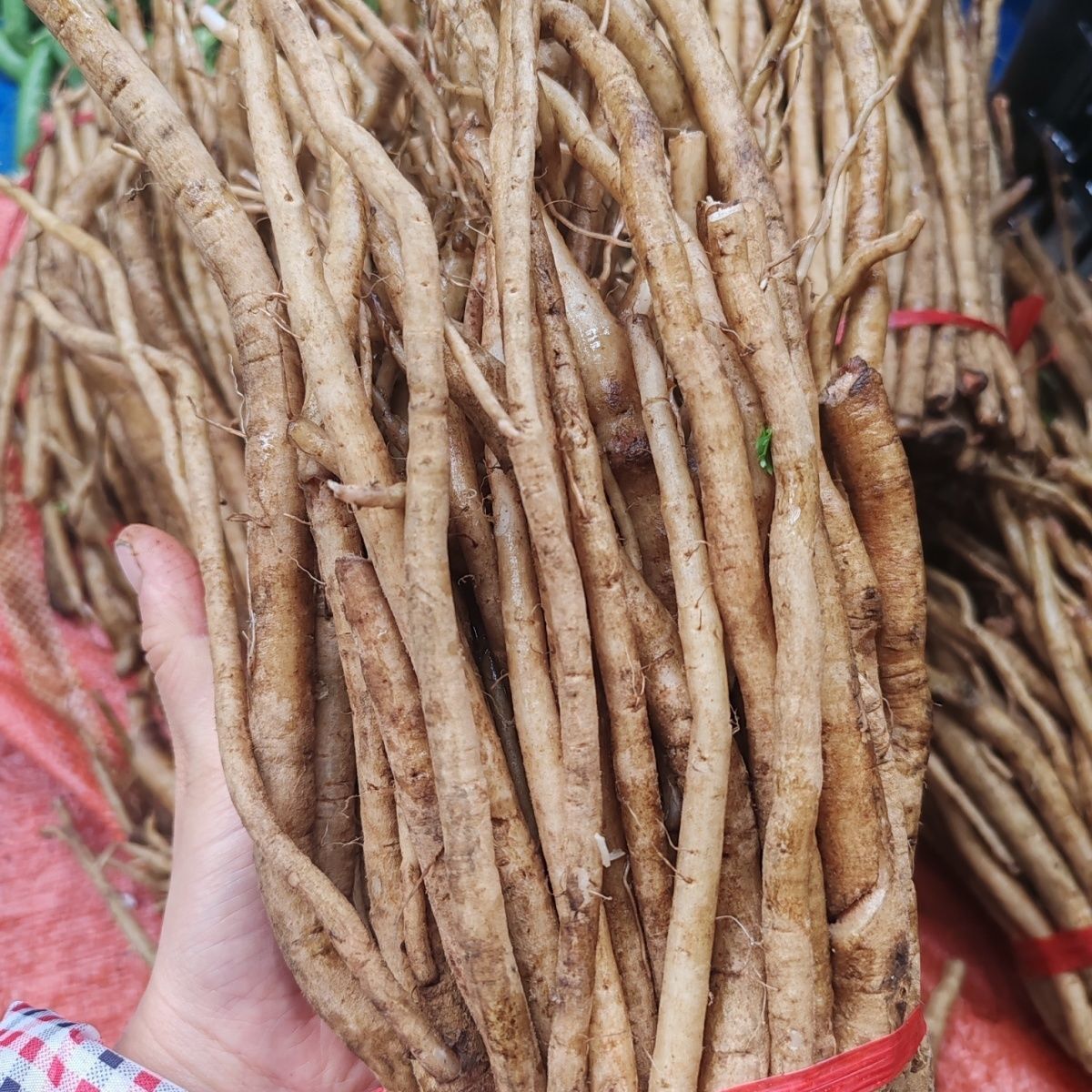 文山本地大气根炖鸡炖排骨