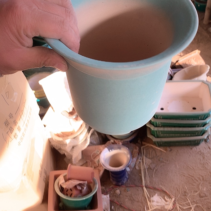 紫砂哈哈真的超级可爱哈哈哈哈哈、