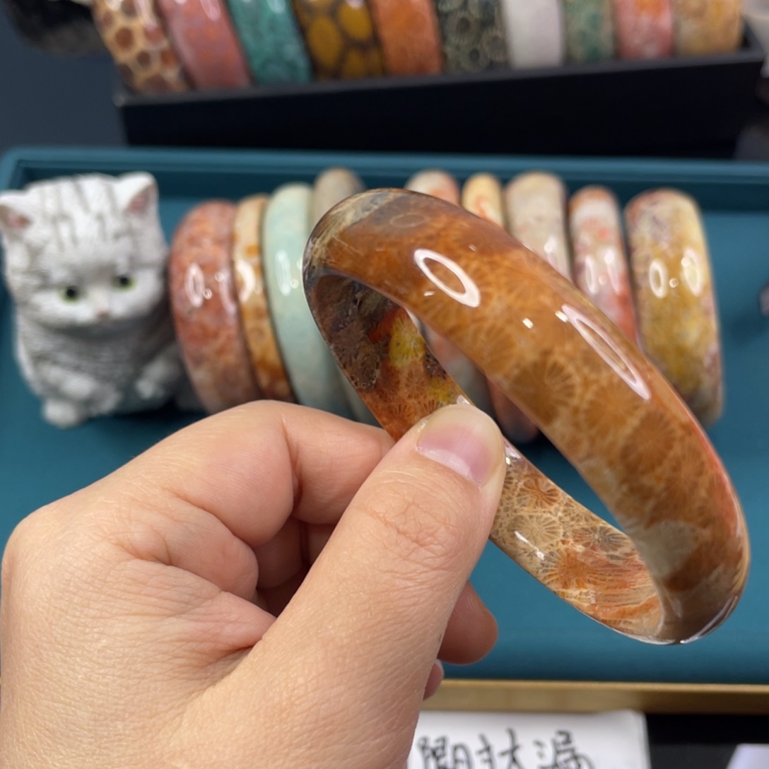 未镶嵌手镯硅化玉