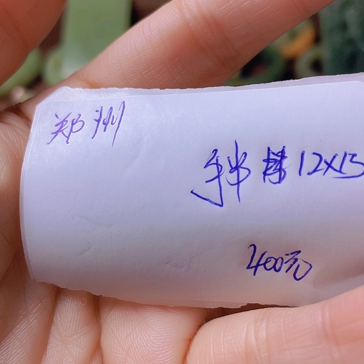 未镶嵌手串岫岩河磨玉（透闪石质玉）郑****）