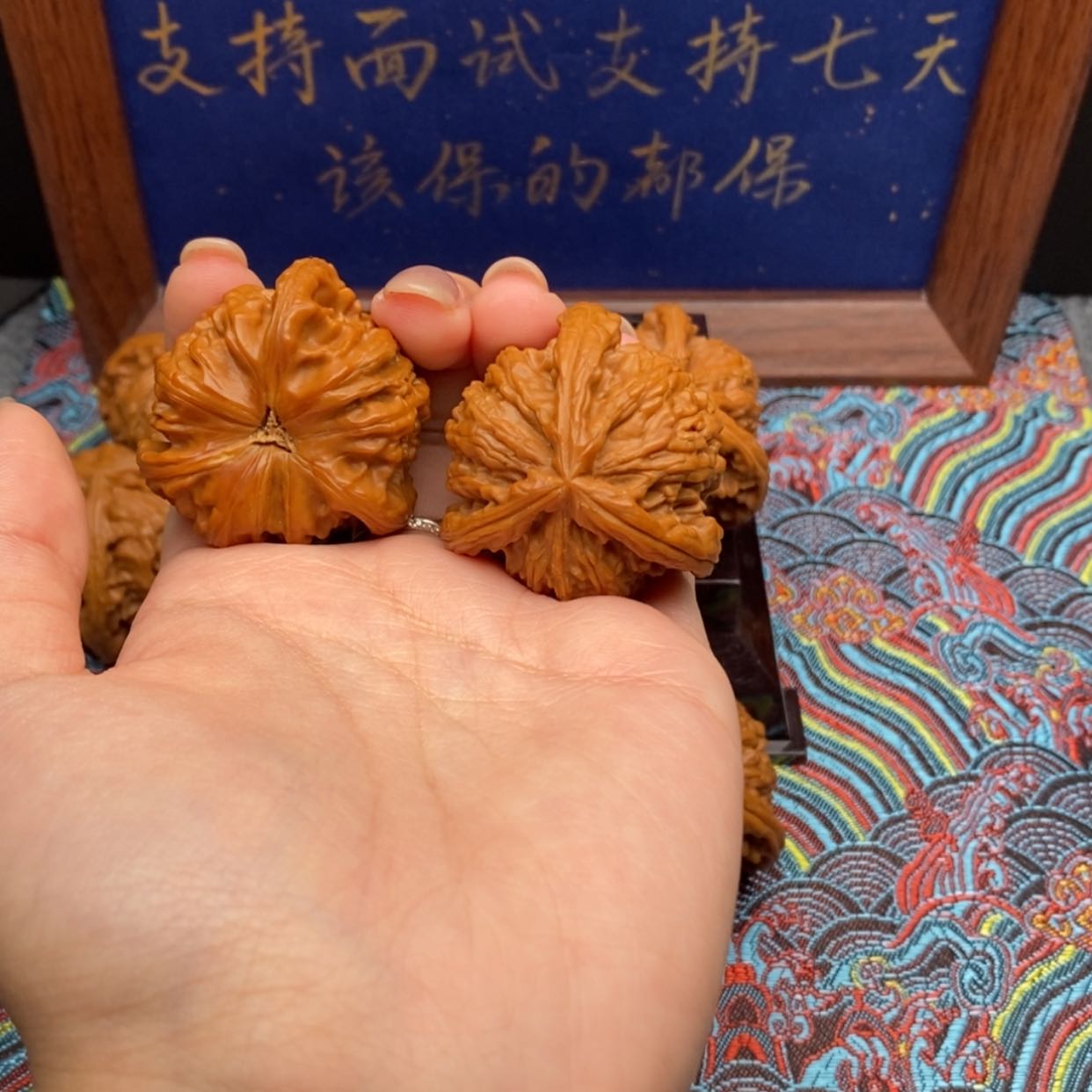 【闪购商品】㵘*白狮