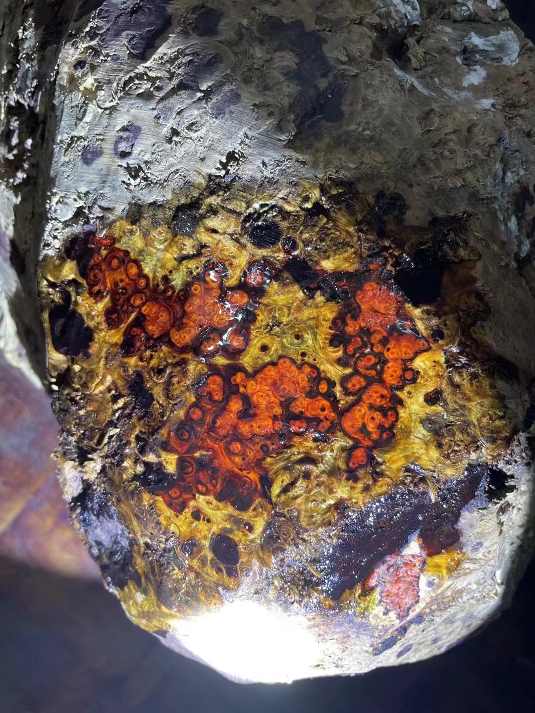 印度小叶紫檀原料定制加工龙鳞金星留疤水波手串摆件手把件雕刻