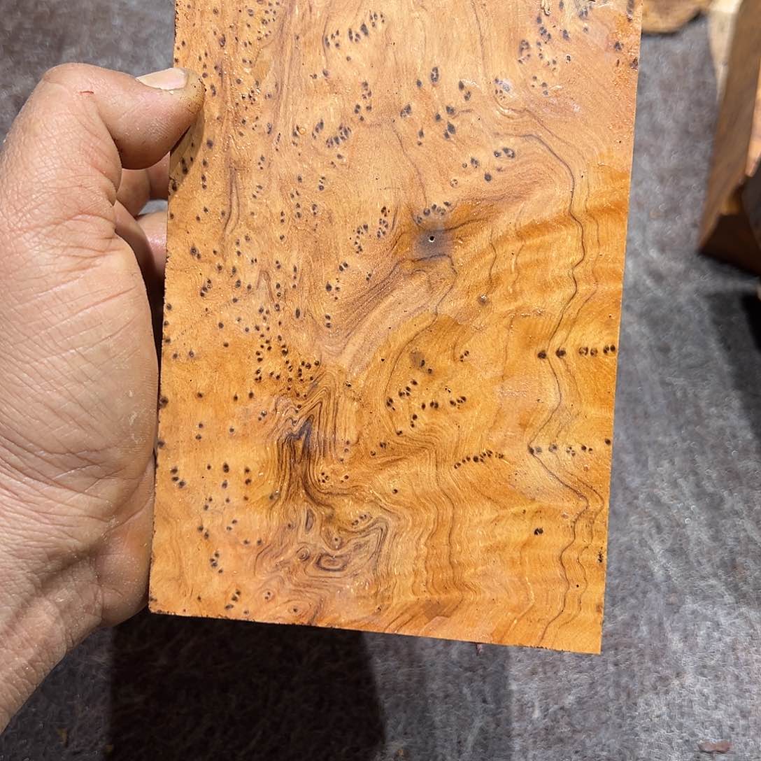 非洲檀香其他小*