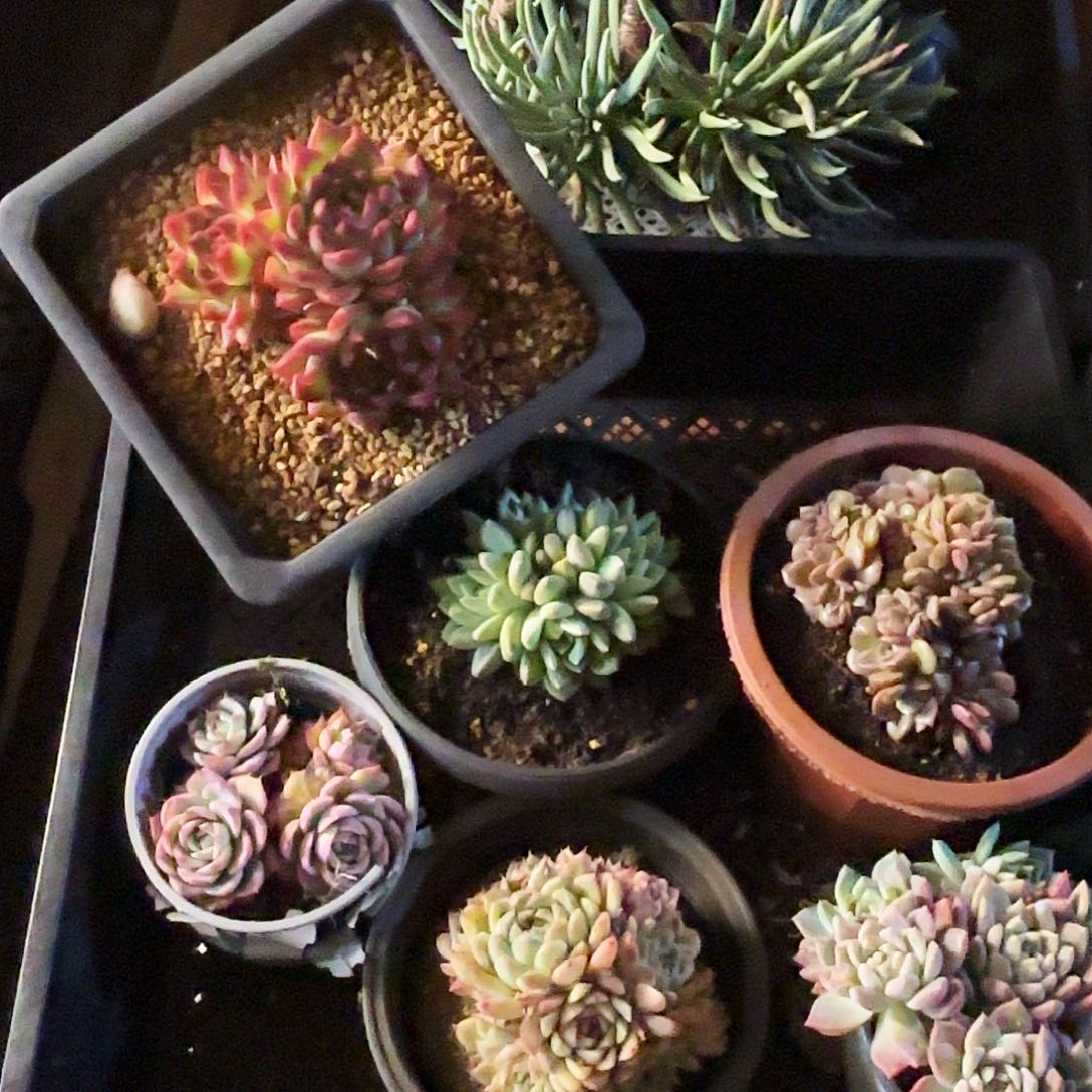 钩子哥福利专场902