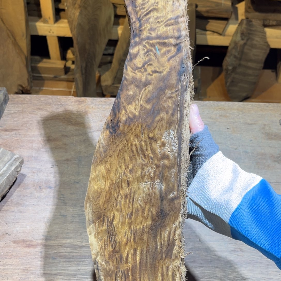 卡***木金丝楠金丝楠原材料