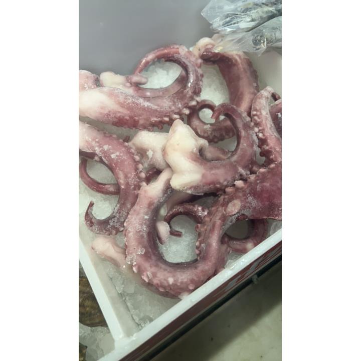冰鲜-章鱼足到手500g