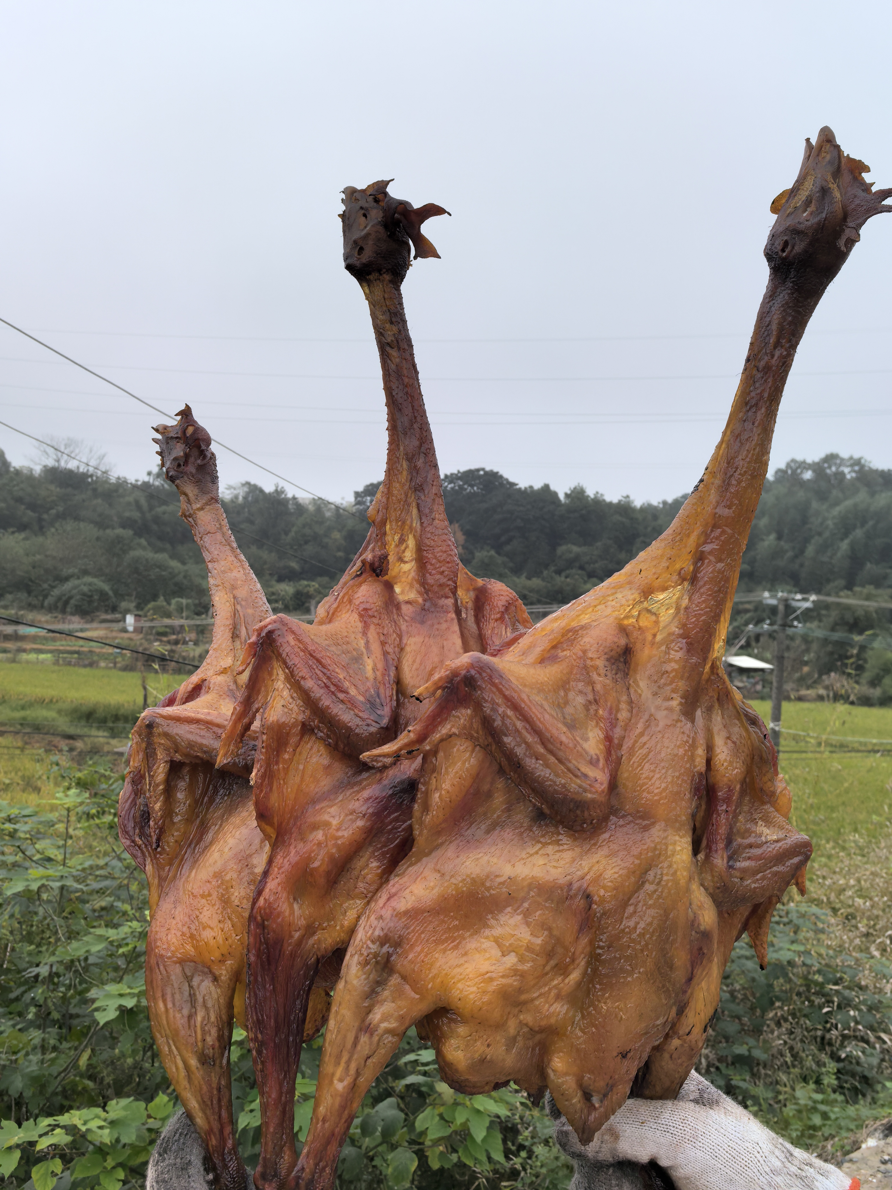 湖南乡里烟熏腊鸡整只700克±20克