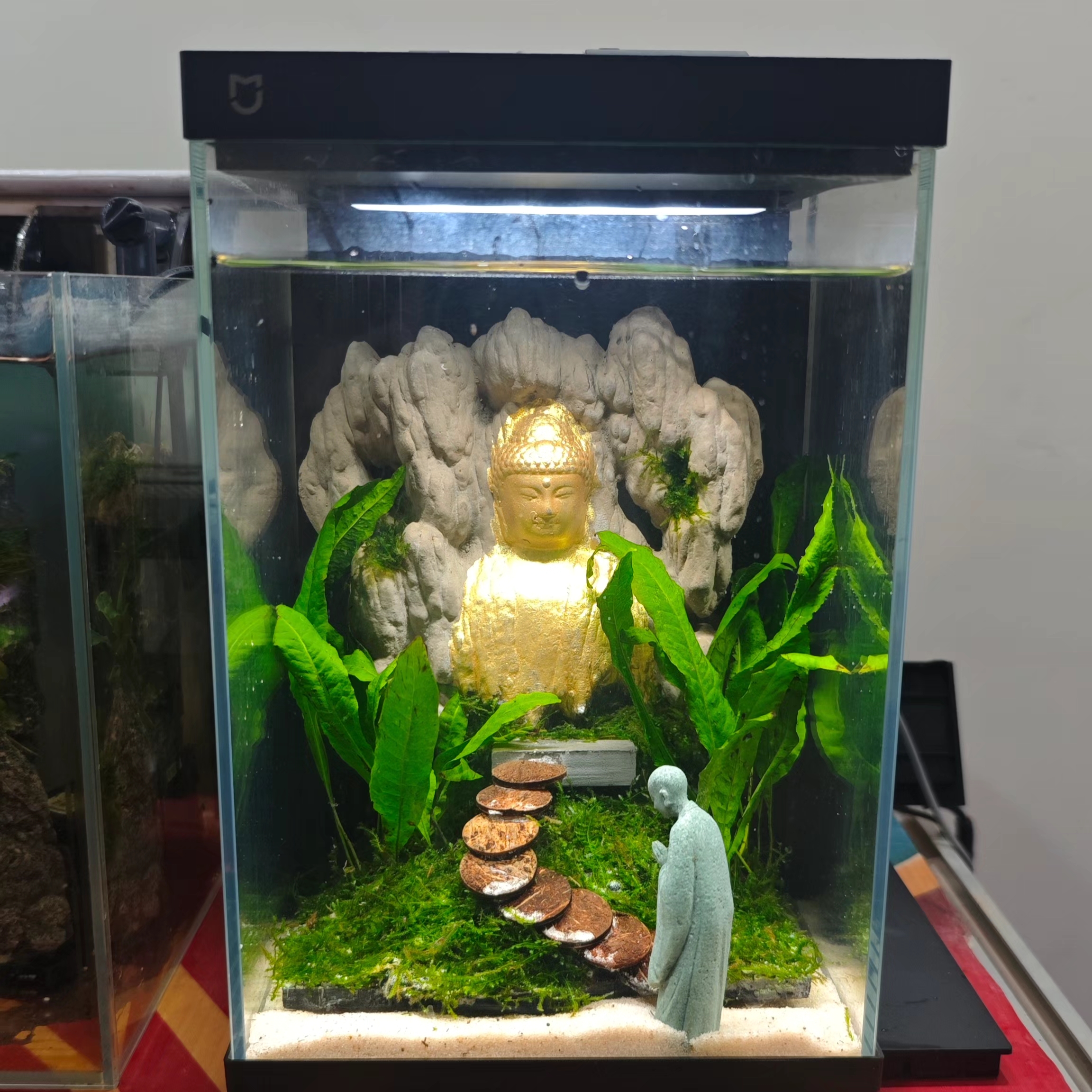 小米二代25方以上鱼缸造景整体南美生态真水草专用一体式整体景观
