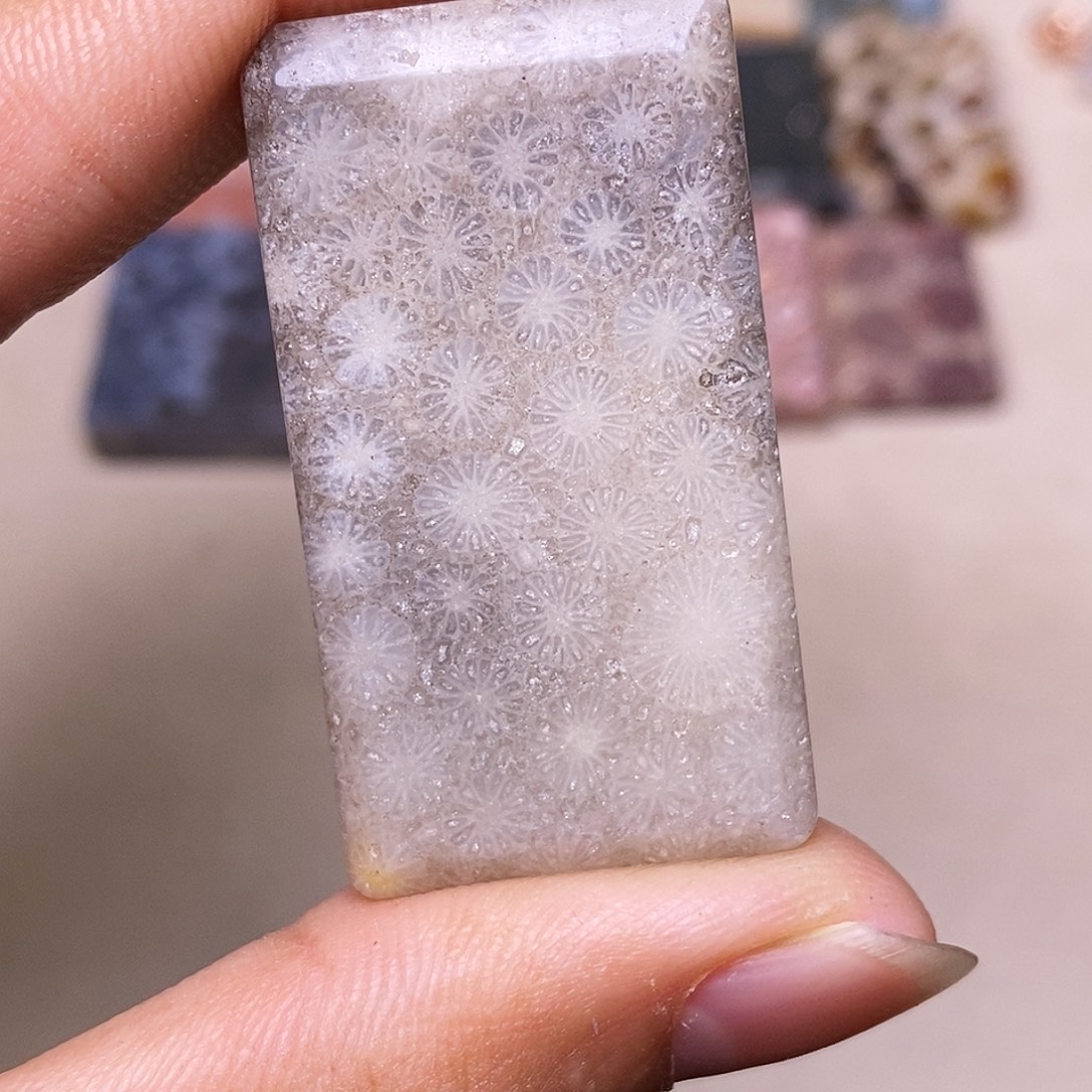 时***嗣硅化玉合金珊瑚玉
