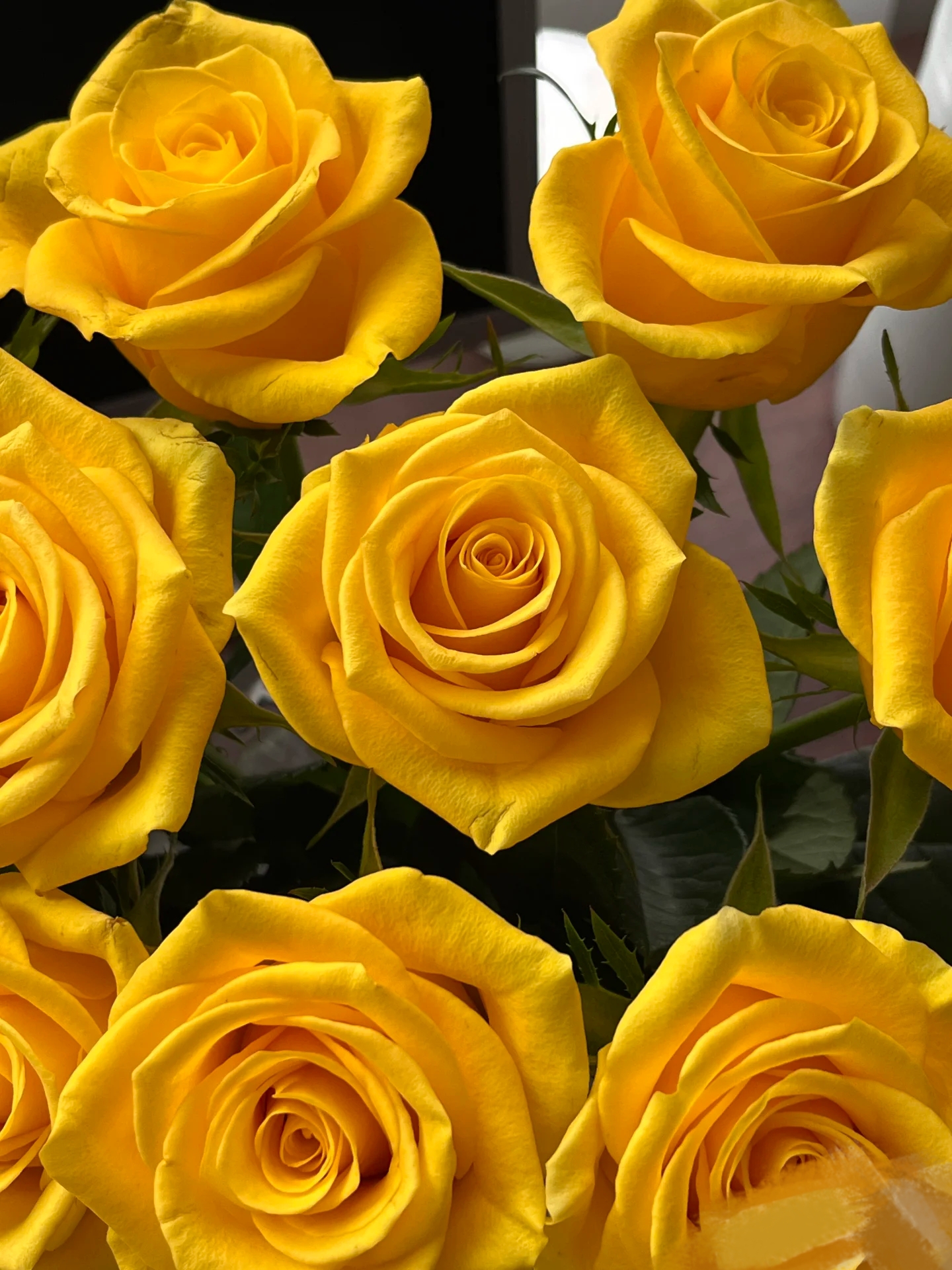 契机玫瑰：同一地址任意两单送配草一份，收到鲜花第一时间醒花。