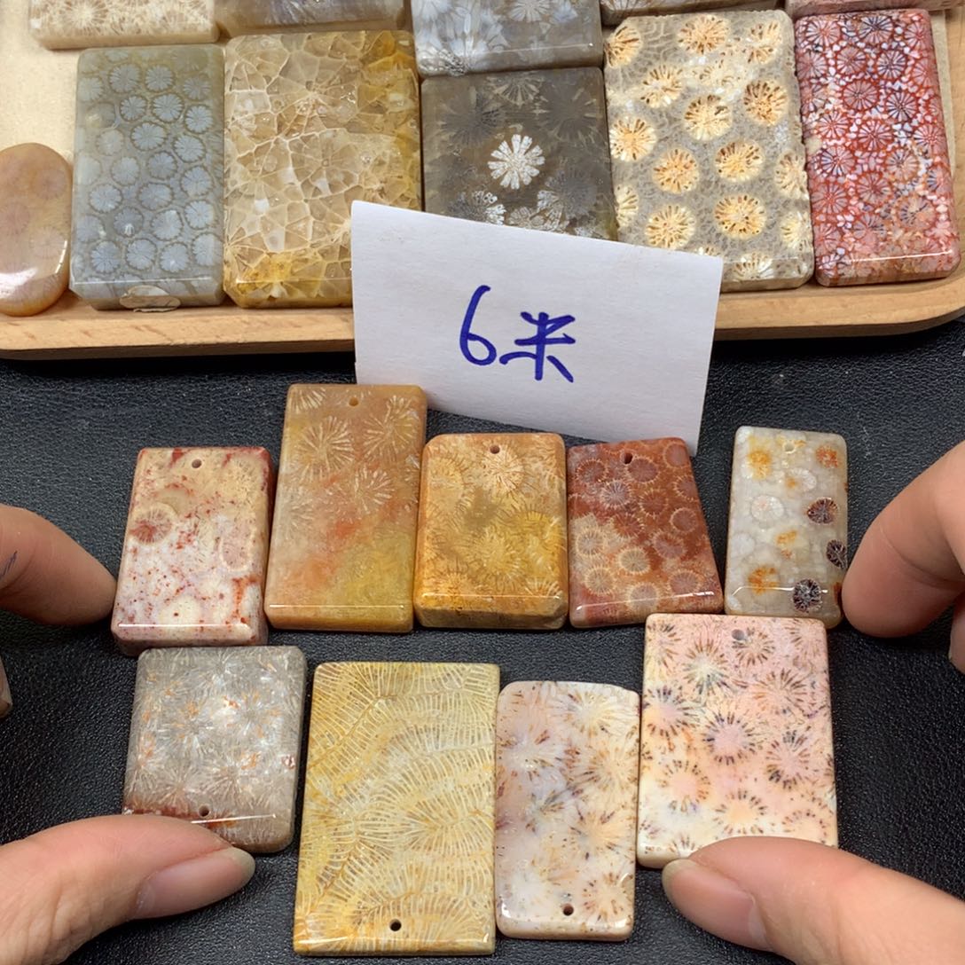 黎***利硅化珊瑚（珊瑚玉）未镶嵌颈饰