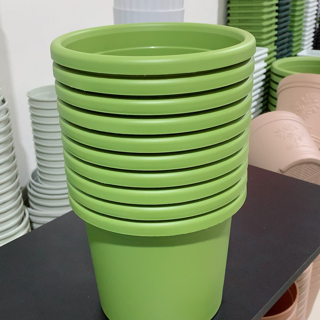 树脂四季口21果绿10个无托