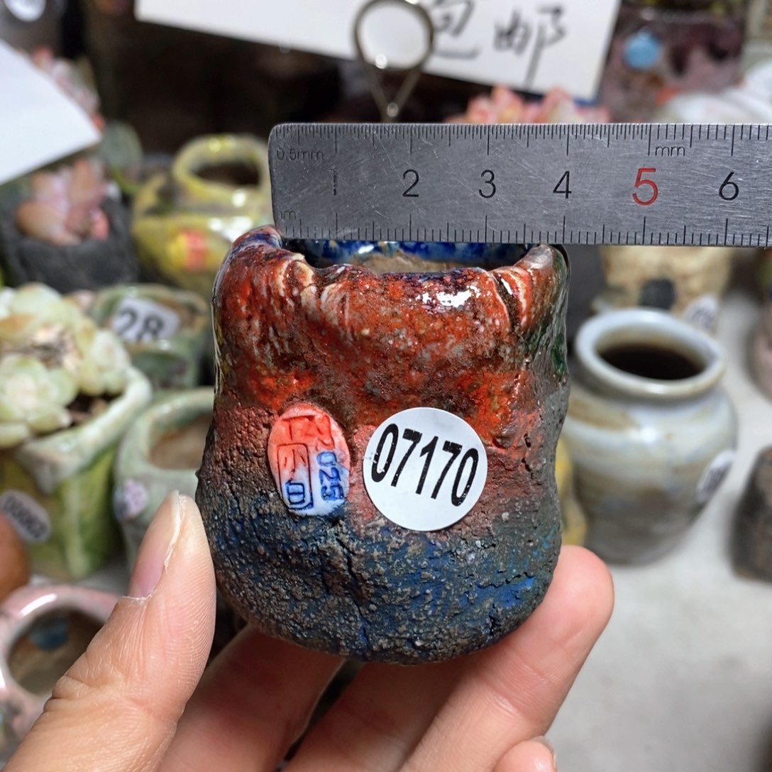 花盆拍3送一个小礼物