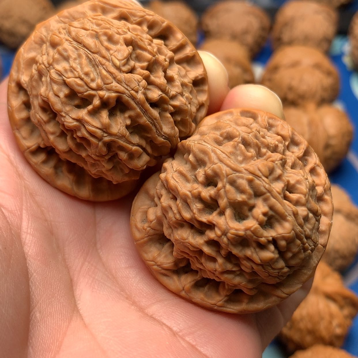 【闪购商品】文玩核桃把件星*?水龙42