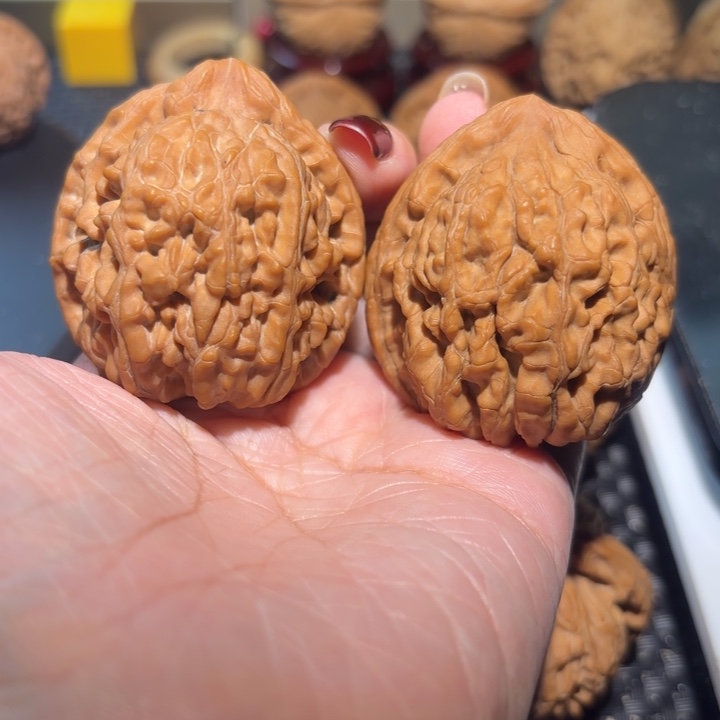 把件文玩核桃41蚂蚁王