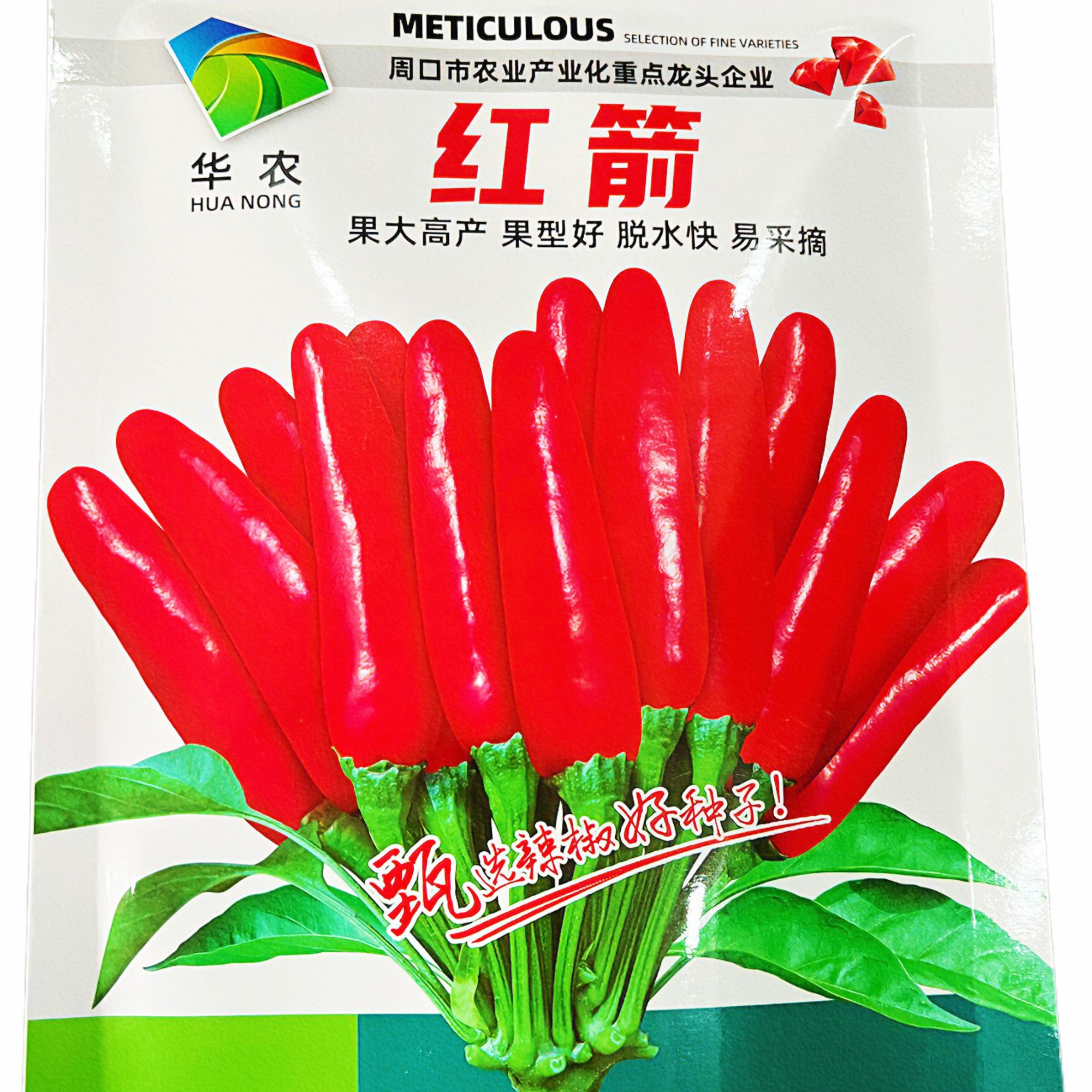 常规种红箭辣椒种子弹头大田专用稳产高产高抗品种易管理