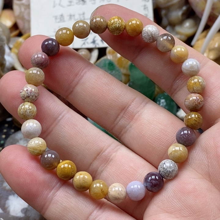 硅化珊瑚（珊瑚玉）颈饰未镶嵌