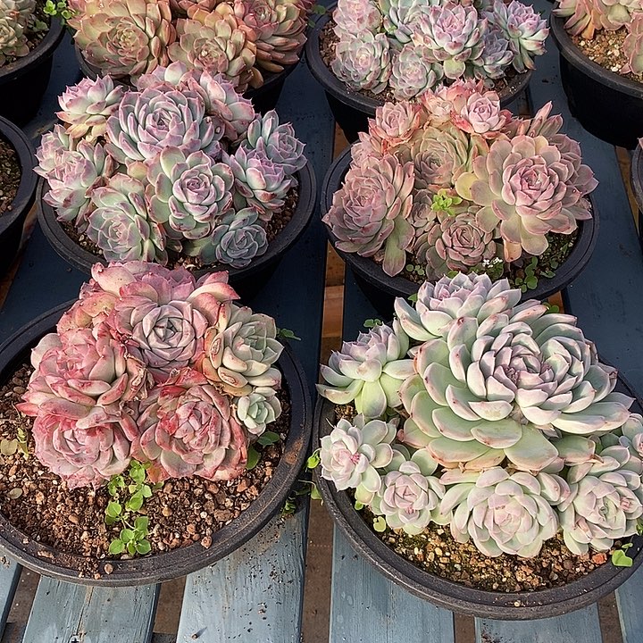 防拍价格，可卖问价