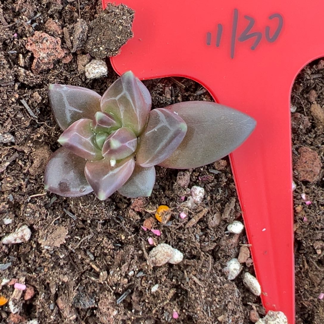 川****1111111111111111111