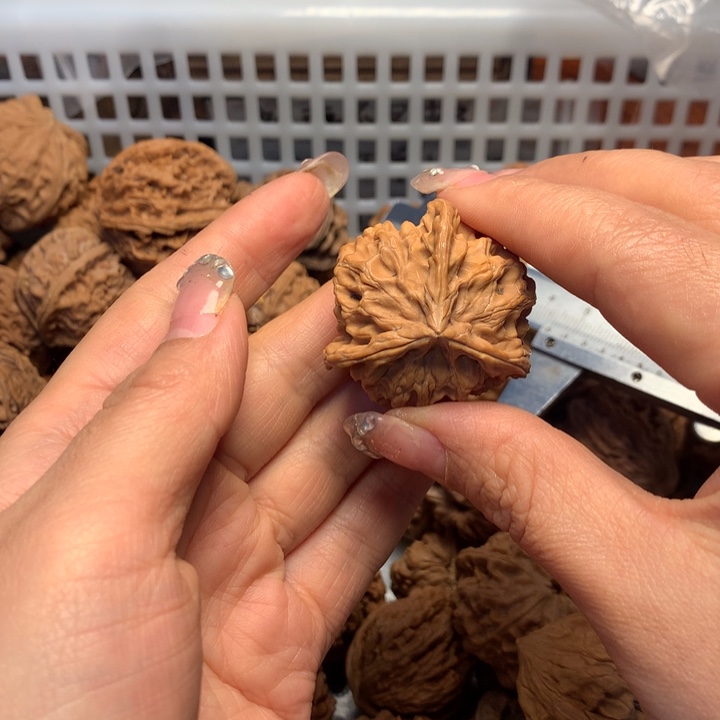 江***辞文玩核桃把件核桃