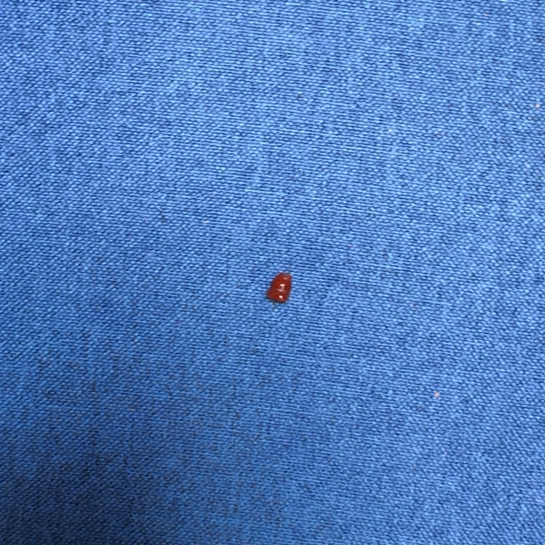 玛瑙/玉髓颈饰未镶嵌六**主