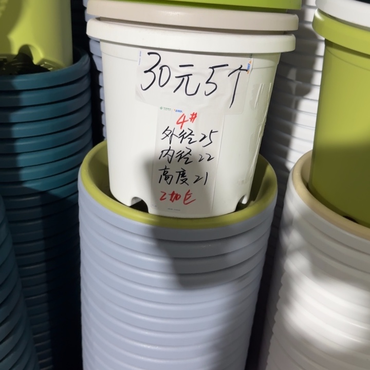 四季4#口径25无托灰白8个