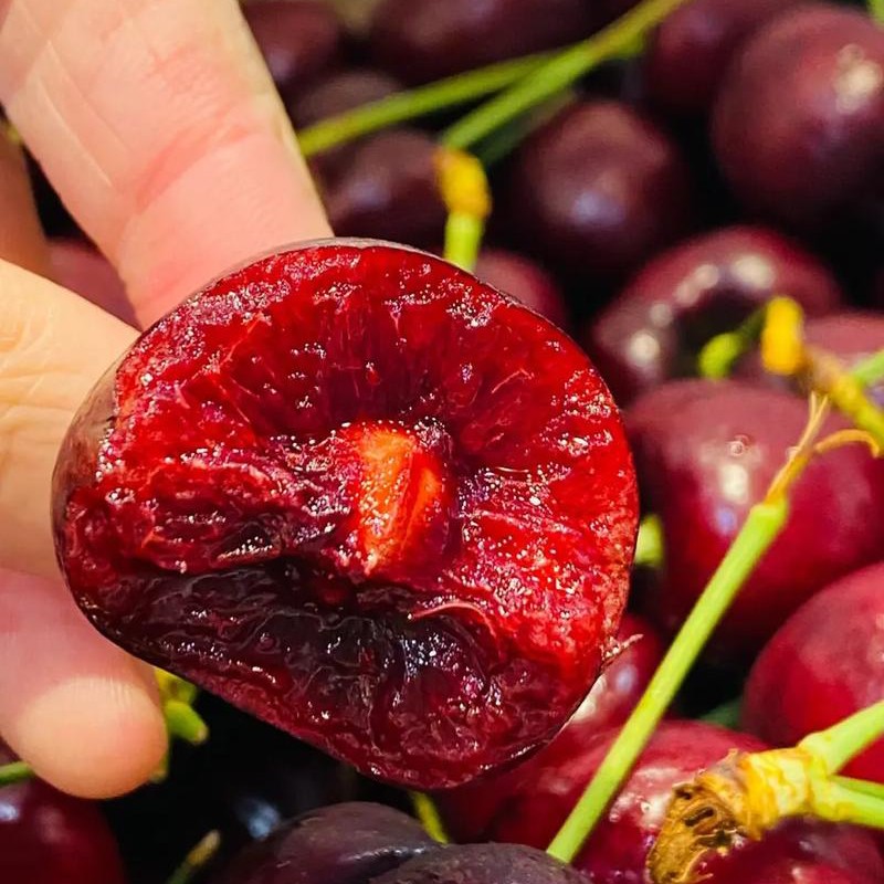 车厘子1斤－2斤（3J桑提娜）空运内附果径卡桑提娜智利