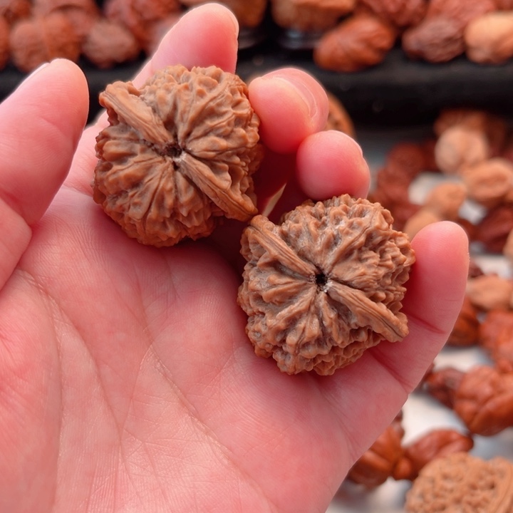 把件文玩核桃36尺寸晋公子