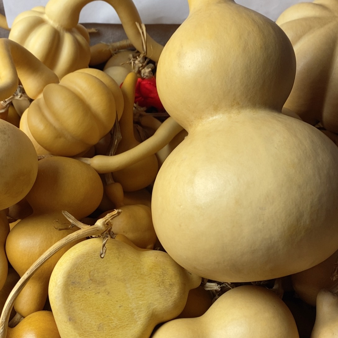 萌****计哦哦哦哦哦哦哦哦葫芦