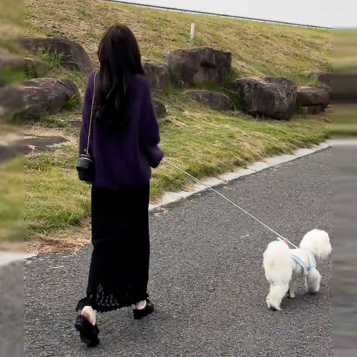 小香风巨好看针织毛衣连衣裙子女2025新款冬季韩系穿搭高级感长裙
