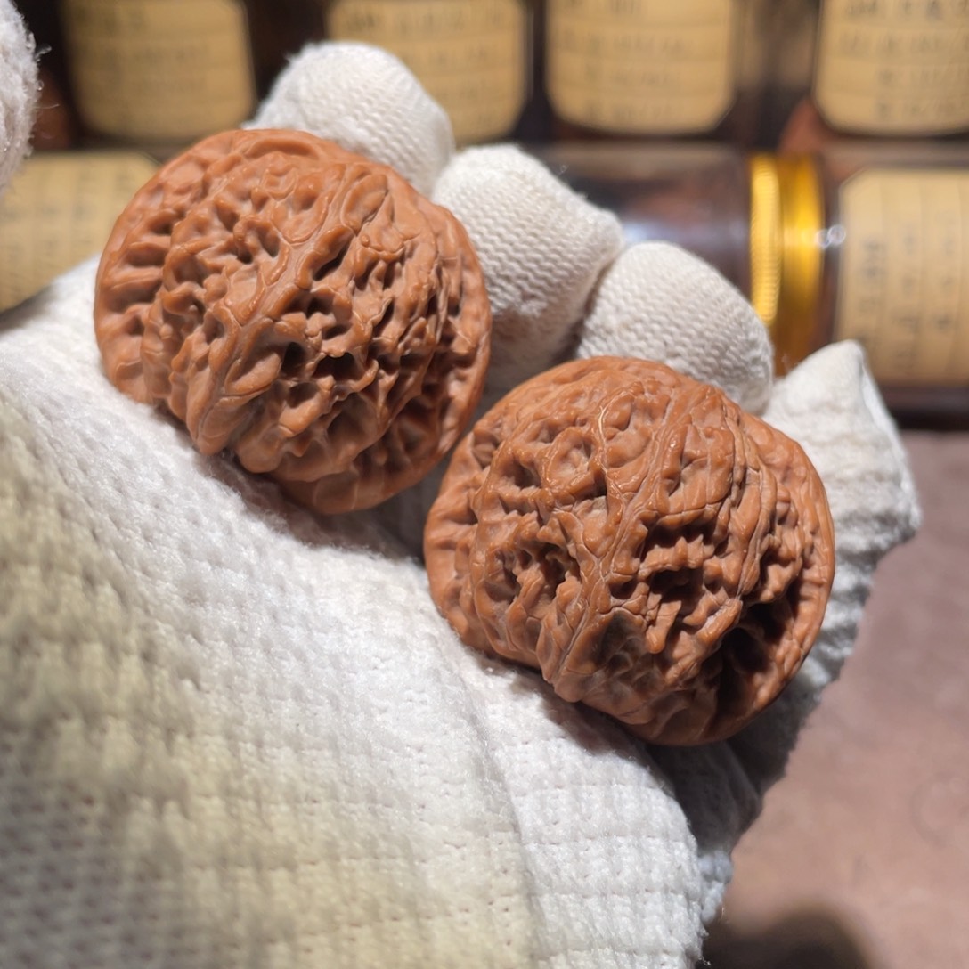 核桃41正磨mmmmmmmm