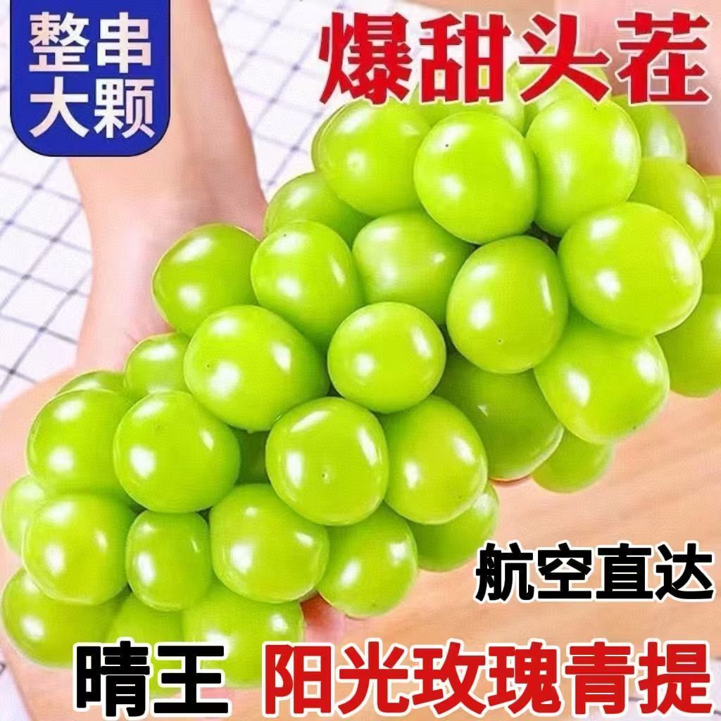 现摘现发云南阳光玫瑰葡萄脆甜多汁无核新鲜应季水果