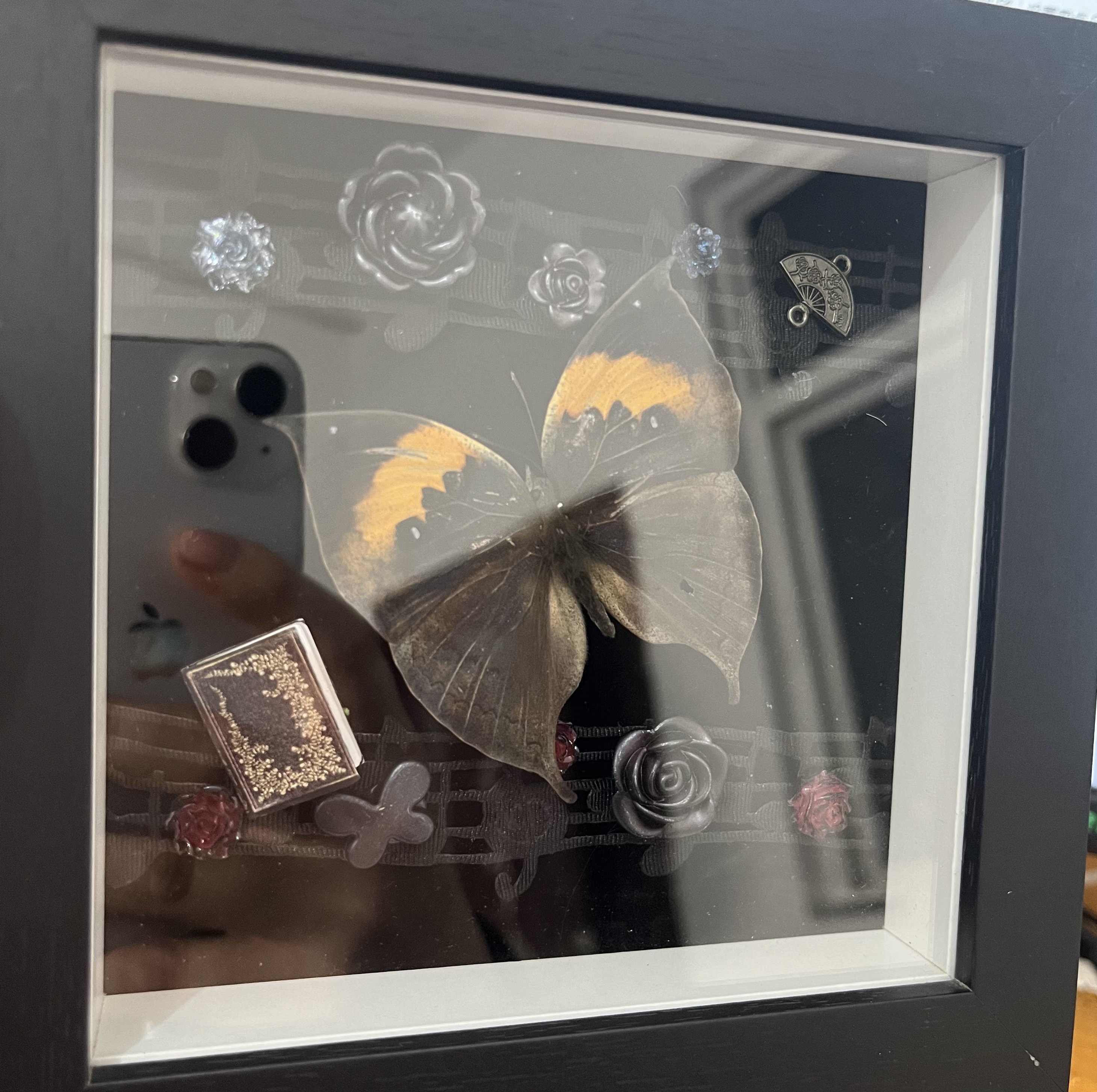 枯叶蛱蝶小设计款精美蝴蝶标本