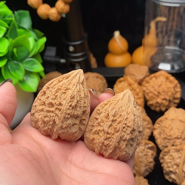 核桃小众塔尖全品