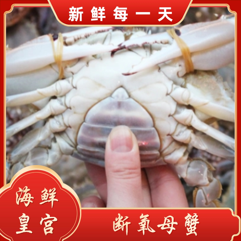 【保鲜不保活】 大号 断氧母蟹残蟹每斤1-2只（每只5-9两）海鲜皇宫